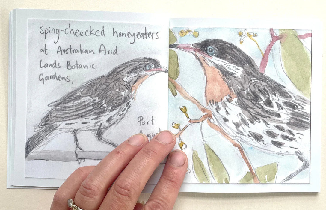 Trip To Port Augusta - Artist Minibook - Bridget Farmer