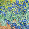 Colorathur - Velour Glasses Case - Snapper Style - Van Gogh - Irises