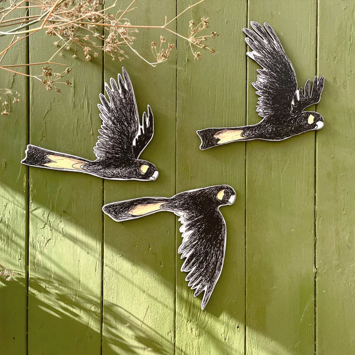 Bridget Farmer - Australian Aviary - Wall Decorations - Yellow-tailed Black Cockatoos