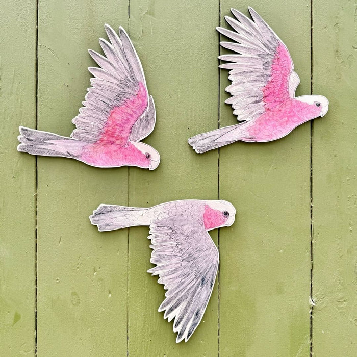 Bridget Farmer - Australian Aviary - Wall Decorations -Galahs