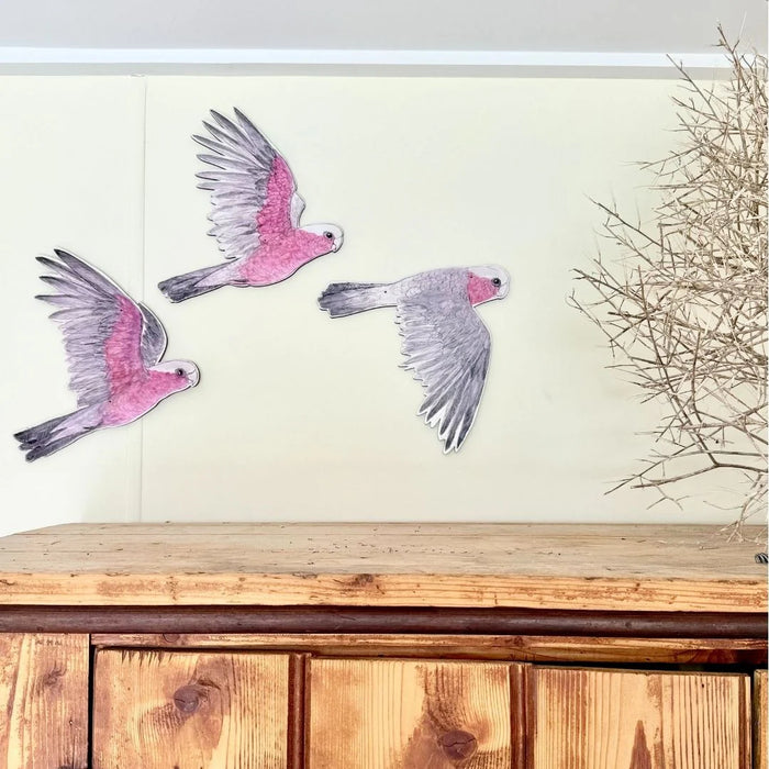 Bridget Farmer - Australian Aviary - Wall Decorations -Galahs