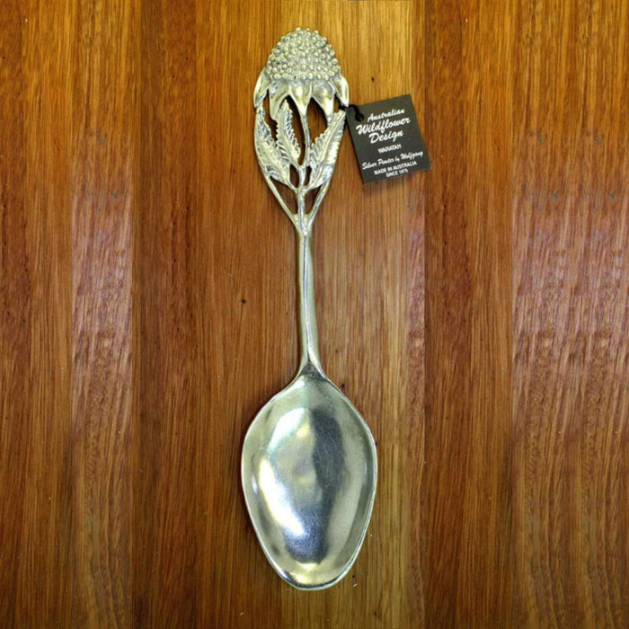 Wolfgang Schulze - Serving Spoon