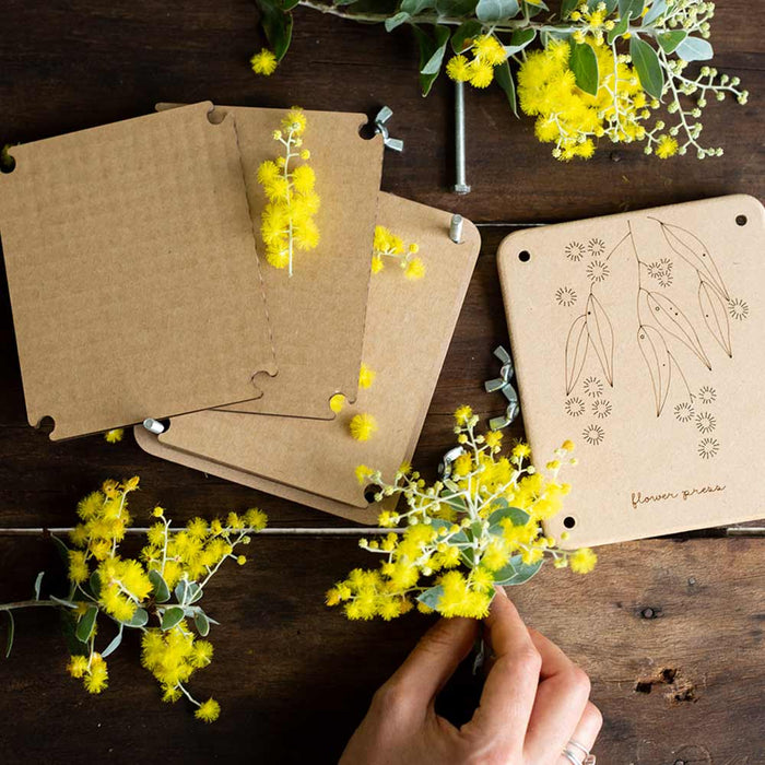 Sow 'n Sow - Flower Press - Mini - Wattle