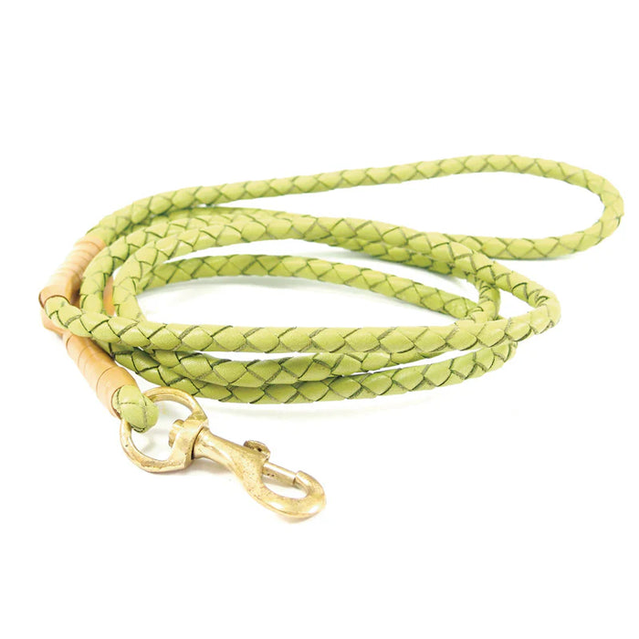 Georgie Paws - Windsor Dog Lead