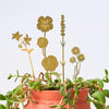 Another Studio - Brass Blooms - Herbs