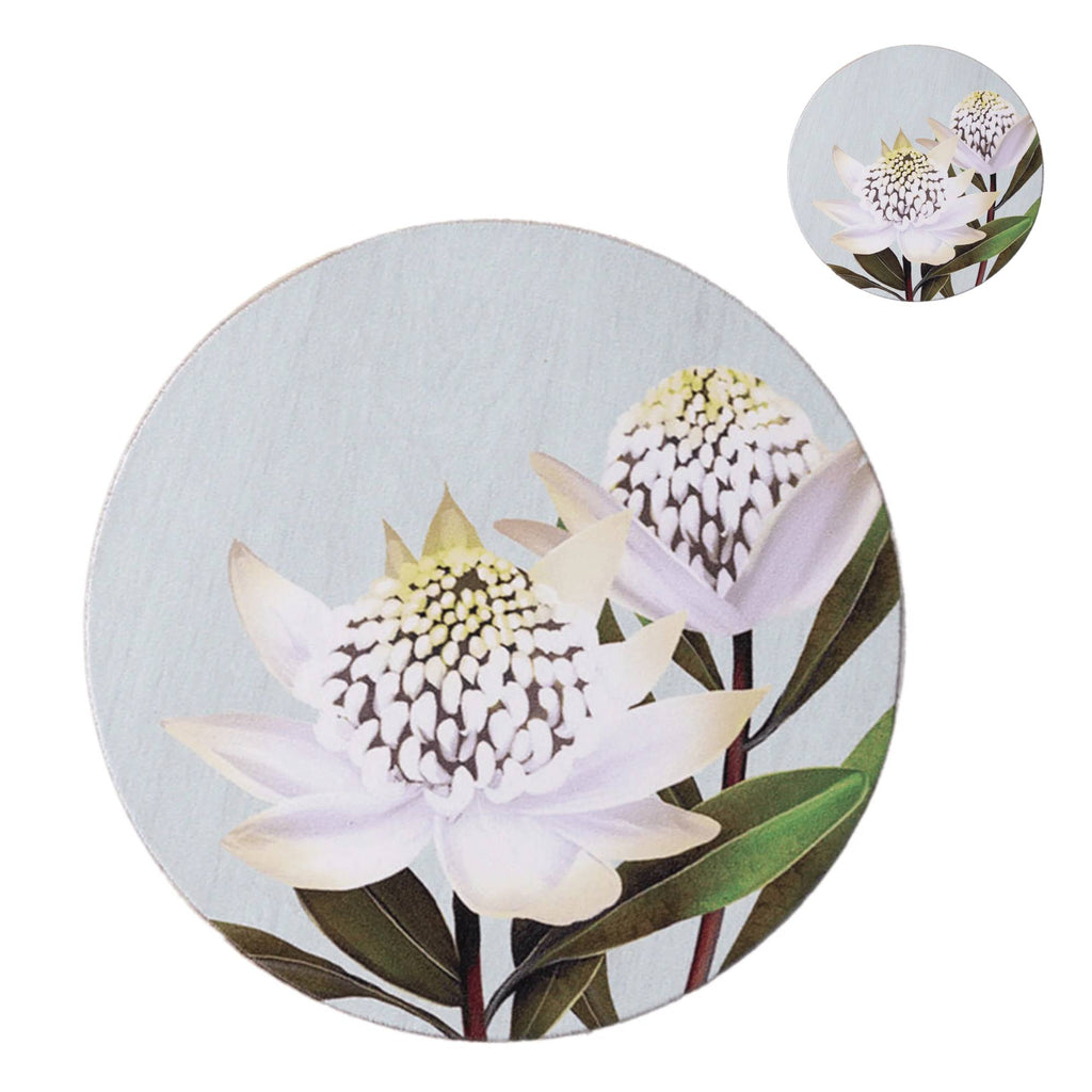 Banksia Blue - Coasters & Placemats - White Waratah - Set of 6