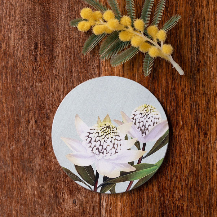 Banksia Blue - Coaster - White Waratah