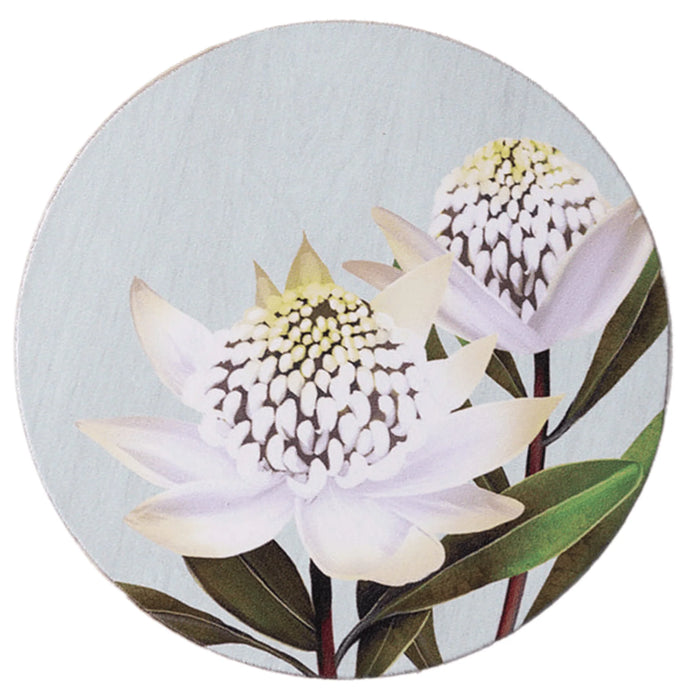 Banksia Blue - Coaster - White Waratah