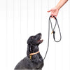 Dog & Human -  Dog Lead - New York