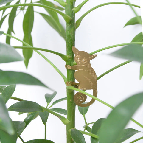 Another Studio - Plant Animal - Bush Baby