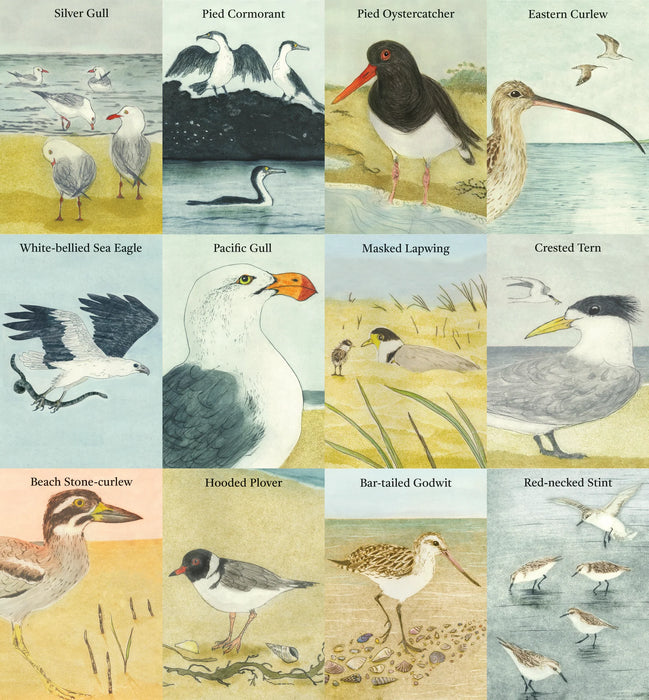 The Beach Birds Card Game - Bridget Farmer