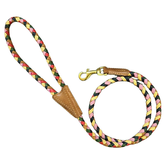 Georgie Paws - Credence Dog Lead