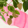 Another Studio - Brass Fruits Plant Decorations - Cute Fruit