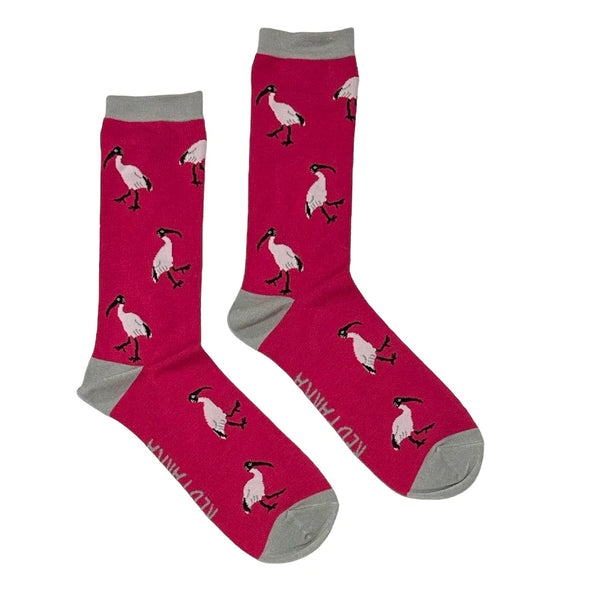 Red Parka - Kids' Socks - Ibis (AKA Bin Chicken)