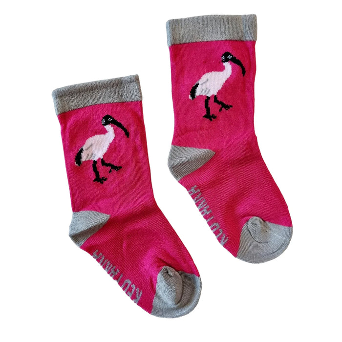 Red Parka - Baby Socks - Ibis (AKA Bin Chicken)
