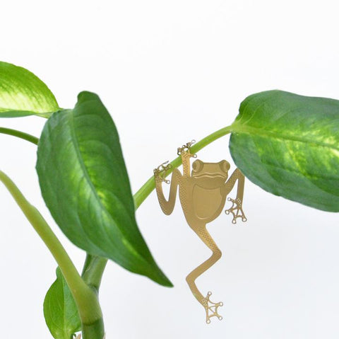 Another Studio - Plant Animal - Frog