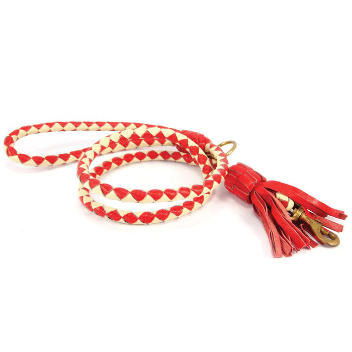 Georgie Paws - Swanky Dog Lead