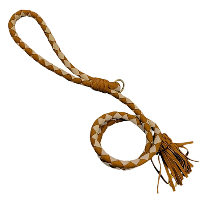 Georgie Paws - Swanky Dog Lead
