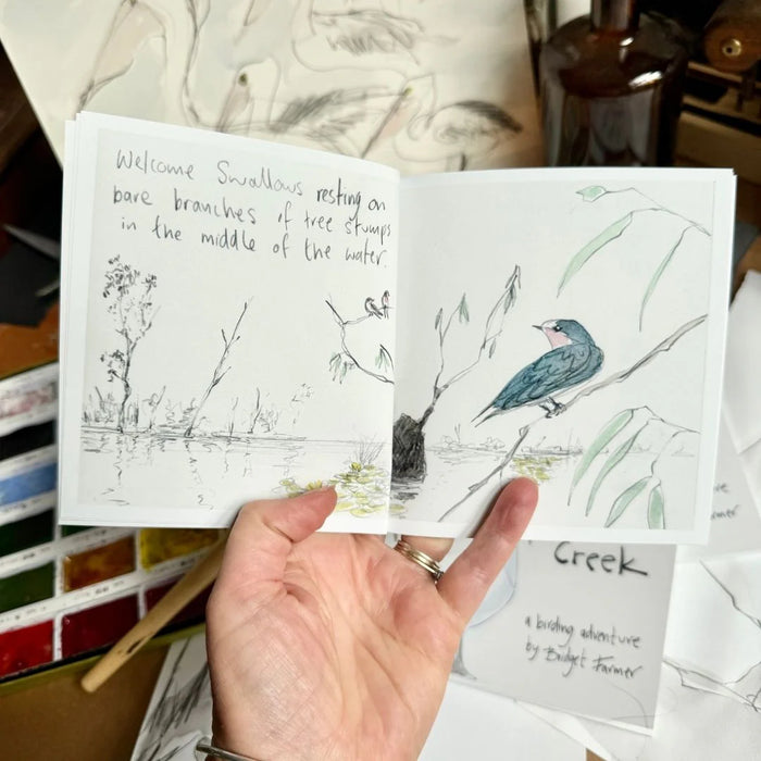 Trip to Gunbower Creek - Artist Minibook - Bridget Farmer