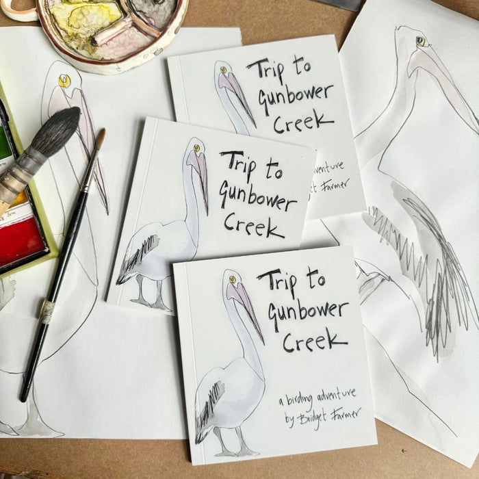Trip to Gunbower Creek - Artist Minibook - Bridget Farmer