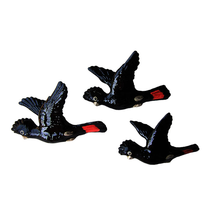 Studio Australia - Wall Birds - Set of 3 - Red Tailed Black Cockatoos