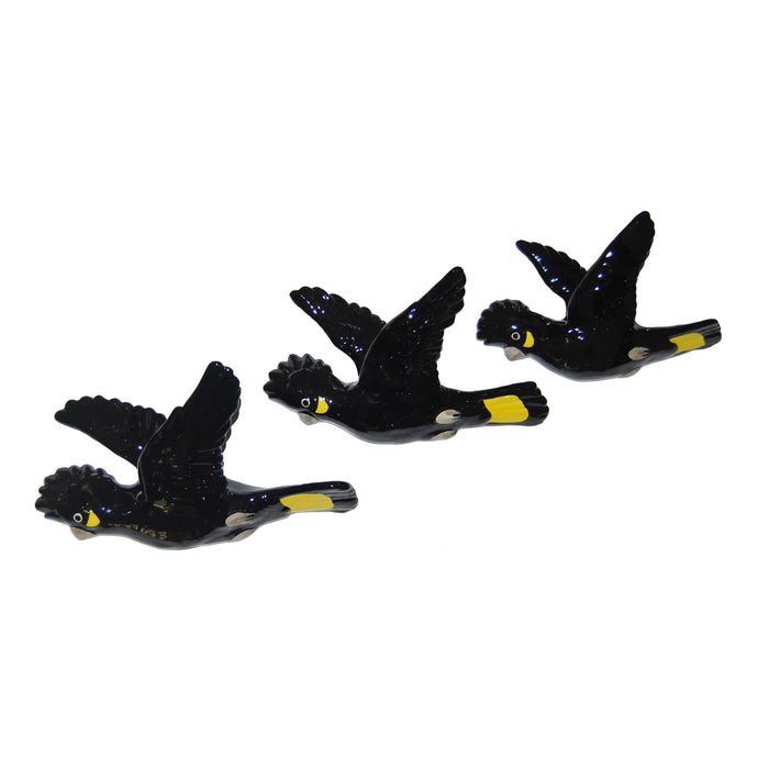 Studio Australia - Wall Birds - Set of 3 - Yellow Tailed Black Cockatoos