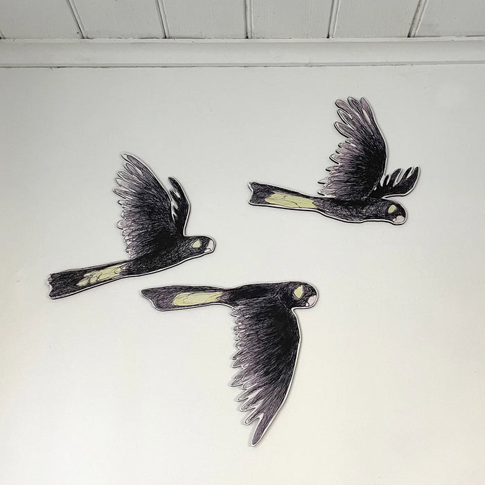 Bridget Farmer - Australian Aviary - Wall Decorations - Yellow-tailed Black Cockatoos