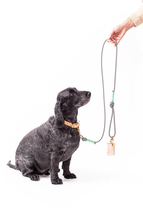 Dog & Human - Leather Poop Bag Holder