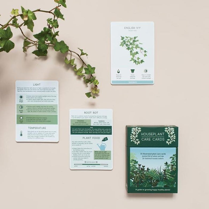 Another Studio - Plant Care Cards