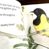 The Bush Birds - Lift The Flap Book - Bridget Farmer