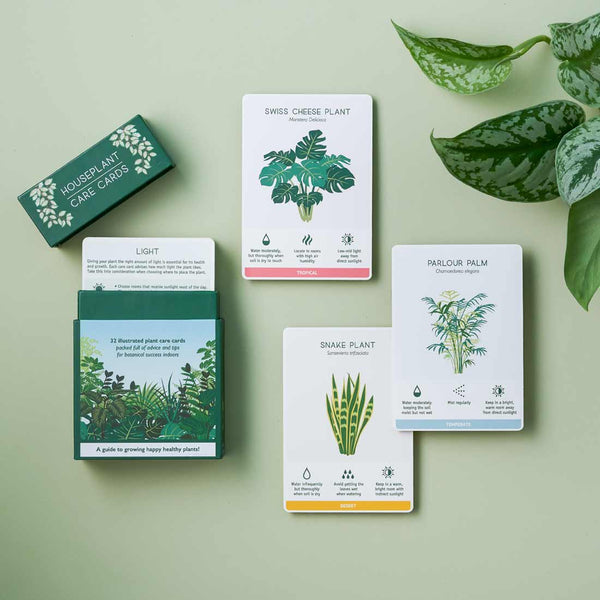 Another Studio - Plant Care Cards