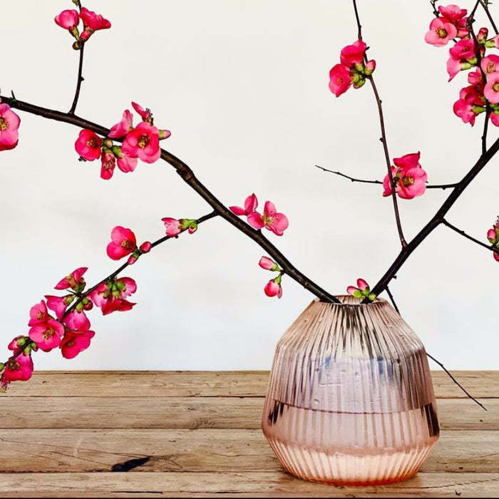 Brian Tunks - Cut Glass Conical Vase - Mini