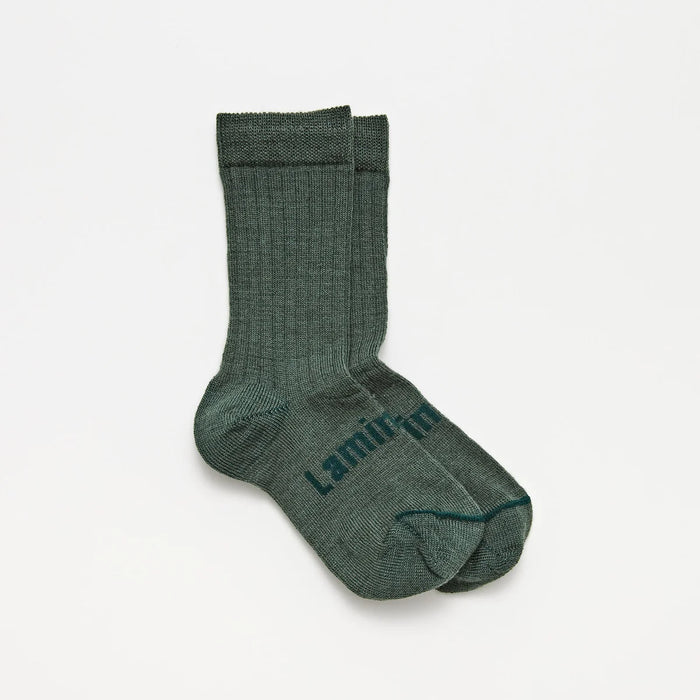 Lamington NZ - Merino Wool Kids Crew Socks - Tuatara