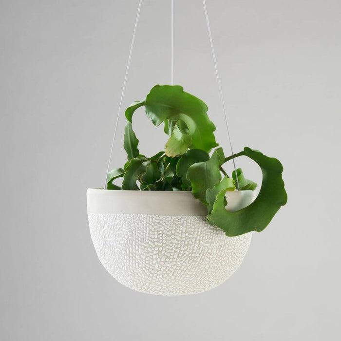 Angus & Celeste - Hanging Garden - White Water Bead