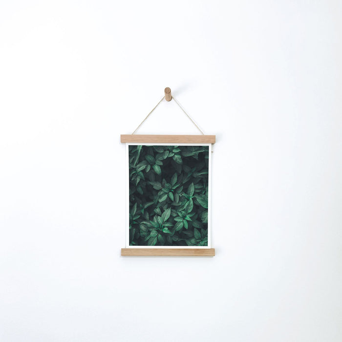 In The Daylight - Wooden Print Hanger